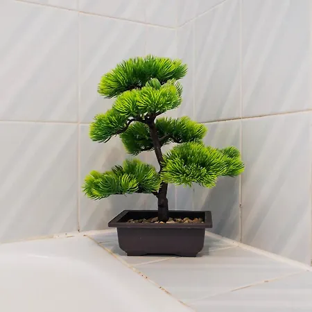 Apartment Spacious And Central, 6 Min Walk To *